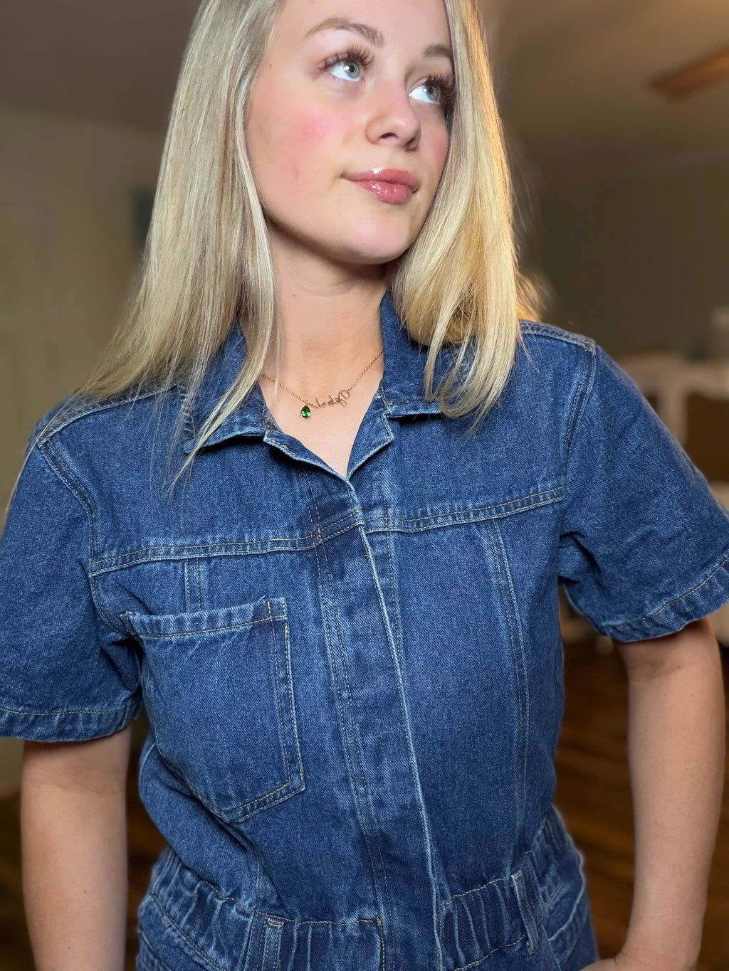 Denim Button Up Jumpsuit